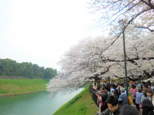 DSCN6932 L